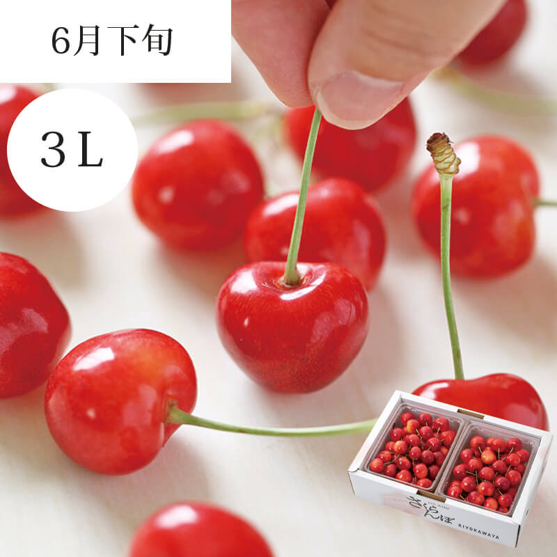 やまがた紅王 特選 バラ詰め 3L 700g 6月下旬お届け