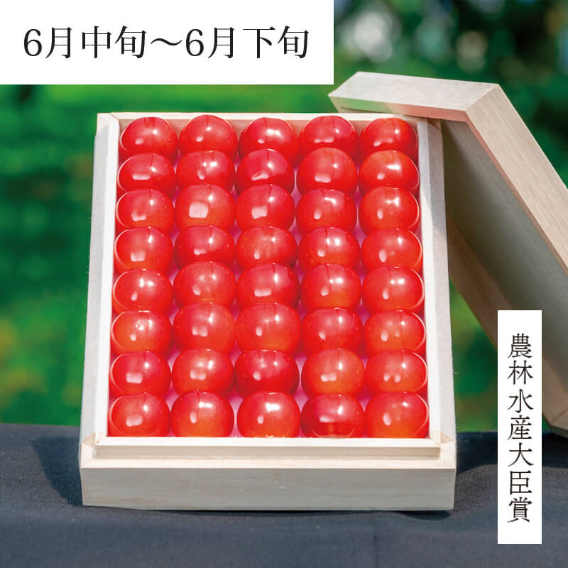 カメムシ品！200㍑ドラム缶remake3段BOX！レッド 農林水産大臣賞 佐藤錦 職人詰め・木箱 Lサイズ1.2kg 山形さくらんぼ