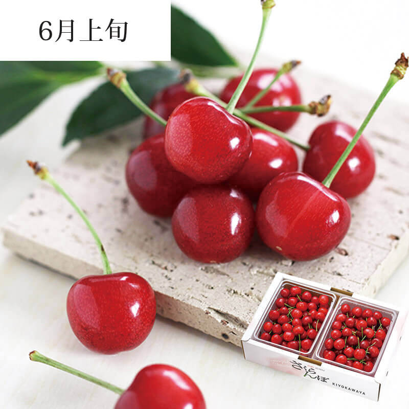 山形美人 バラ詰め L 700g 6月上旬お届け