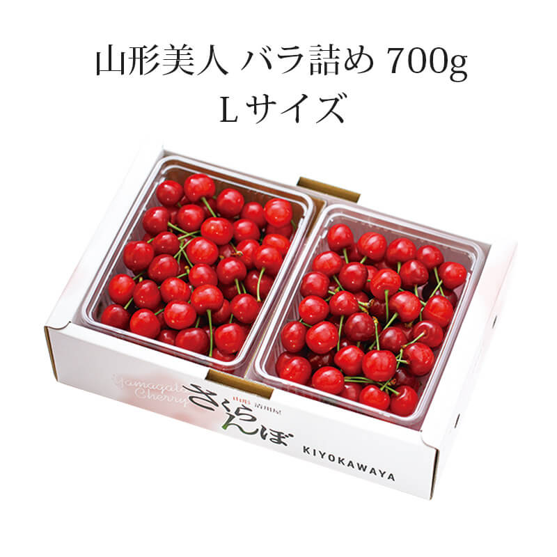 山形美人 バラ詰め L 700g 6月上旬お届け 超希少な山形さくらんぼ 早生