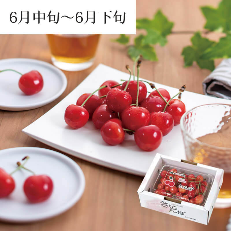 あやみ　秀品紅ぷり4kg+家庭用紅ぷり4kgぐるりん 紅秀峰 特選2L 700g 2026予約｜1.7万箱超の実績：山形さくらんぼ清川屋