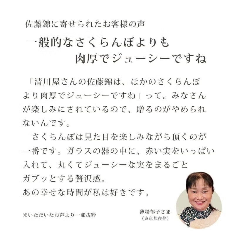 さくらんぼ佐藤錦200g｜6月中～下旬｜1.7万箱実績