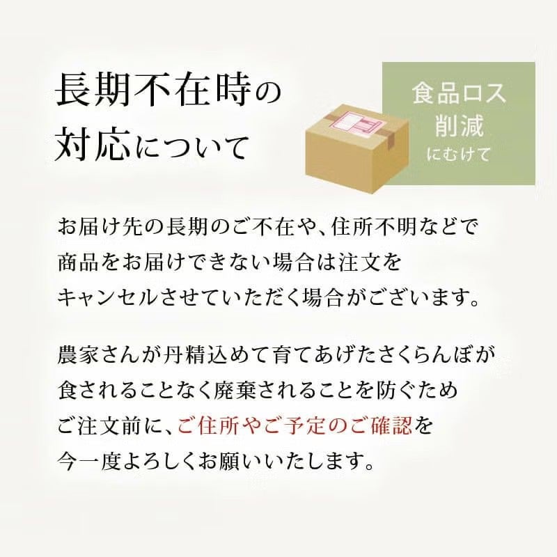 さくらんぼ佐藤錦200g｜6月中～下旬｜1.7万箱実績