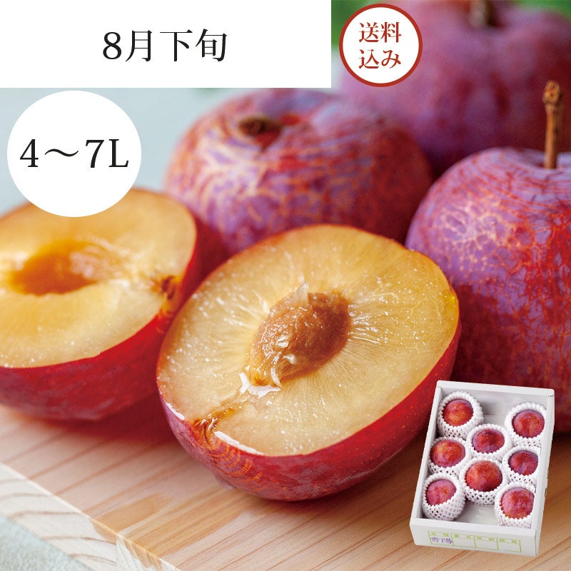 まんまる果樹園の完熟すもも 貴陽 6～11玉 約1.5kg 8月下旬お届け