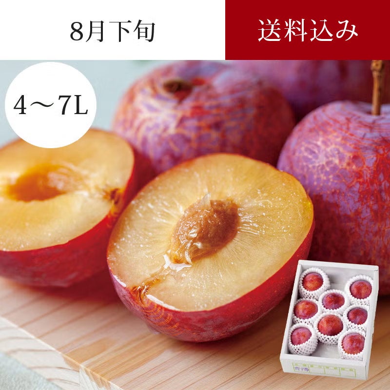 まんまる果樹園の完熟すもも 貴陽 6～11玉 約1.5kg 8月下旬お届け