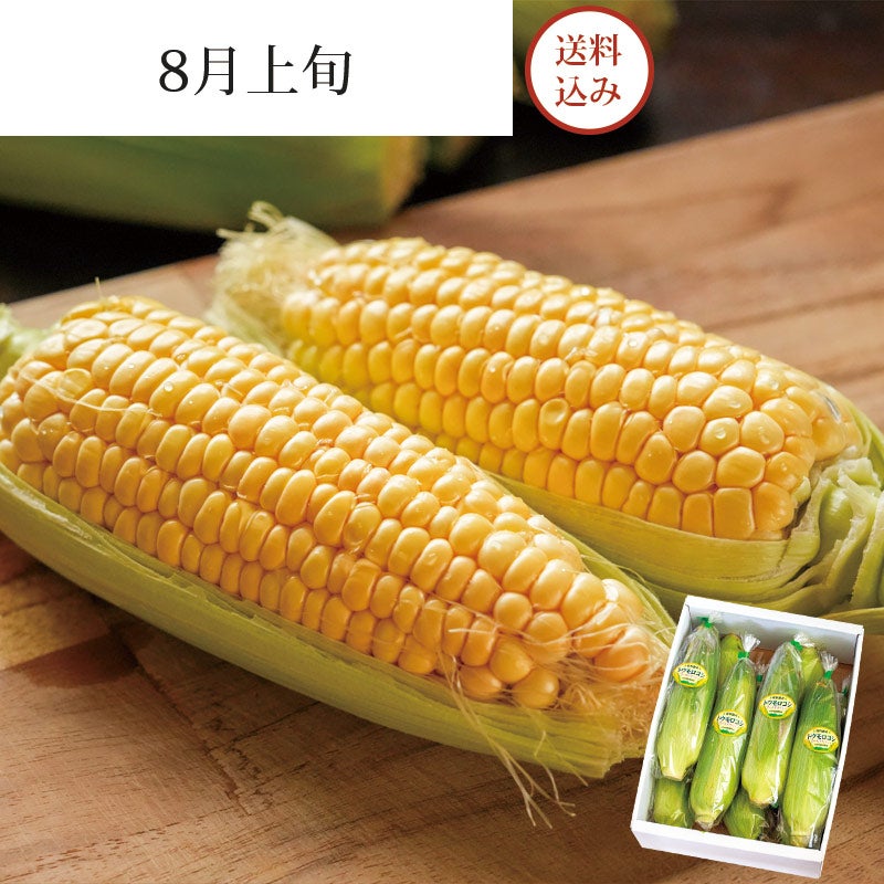 朝採りとうもろこし ゴールドラッシュ 7～10本 約3kg 8月上旬お届け