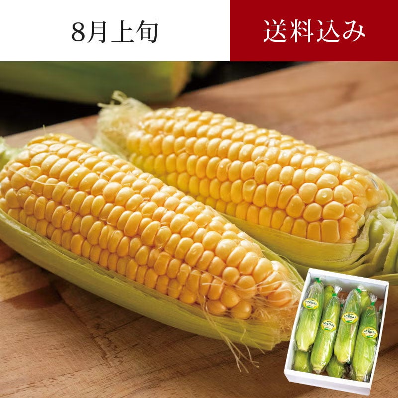 朝採りとうもろこし ゴールドラッシュ 7～10本 約3kg 8月上旬お届け