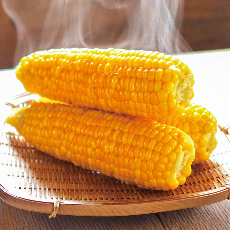 朝採りとうもろこし ゴールドラッシュ 7～10本 約3kg 8月上旬お届け