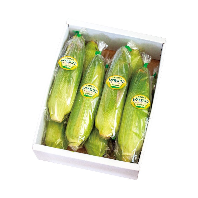 朝採りとうもろこし ゴールドラッシュ 7～10本 約3kg 8月上旬お届け